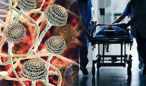 H3N2 Death In India: 23-Year-Old Dies In Maharashtra, Post-Mortem Confirms Presence of Virus In Blood