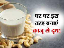 घर का बना इस ड्राई फ्रूट का दूध आपके शरीर को बनाएं 'निरोग'! जानें सेहत को मिलने वाले 5 अद्भुत फायदे