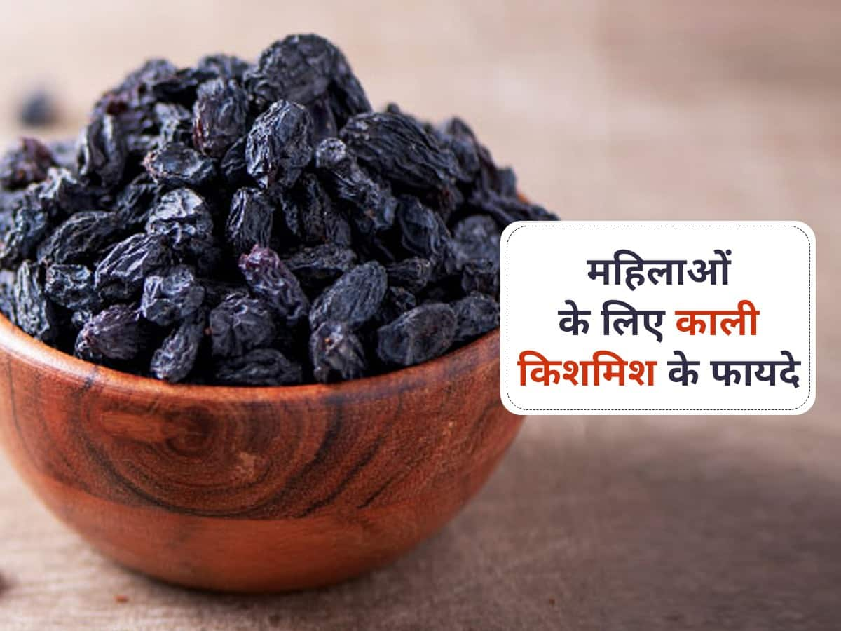 Black Raisins Benefits For Female महिलाओं को मिलते हैं काली किशमिश के