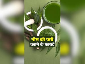 खाली पेट नीम की पत्ती चबाने के फायदे