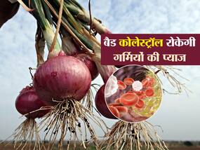 गर्मियों के ठंडे प्याज निकालेंगे नसों में जमा बैड कोलेस्ट्रॉल, जानें किस तरीके से सेवन ज्यादा फायदेमंद