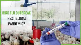 H5N1 Bird Flu Outbreak: Will Bird Flu Be The Next Human Pandemic? Watch Video H5N1 Bird Flu Outbreak: Will Bird Flu Be The Next Human Pandemic? Watch Video