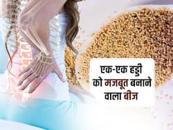 Poppy seeds: कमजोर हड्डियों को लोहे की तरह मजबूत बना देगा ये बीज, जानें कैल्शियम से भरी खसखस खाने के फायदे