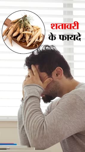 पुरुषों के लिए सबसे अच्छी जड़ी-बूटी है शतावरी!