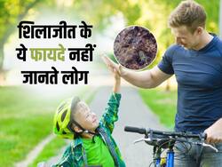 कम लोग जानते हैं Shilajit के ये 4 फायदे! फिटनेस से लेकर टेस्टोस्टेरोन बढ़ाने तक जानें क्यों है शिलाजीत बेस्ट