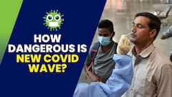 5th Covid Wave In India: Can New XBB.1.16 Variant Invite Deadly Wave Of Covid In India? Watch Video