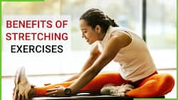 Benefits Of Stretching Exercise: Why It Is Important To Include Stretching In Your Daily Routine, Watch Video
