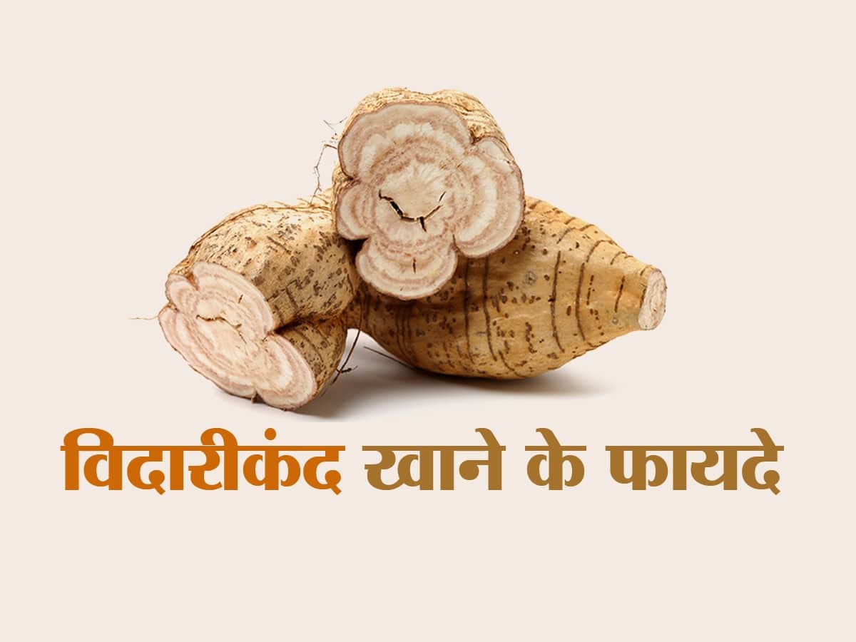 Benefits of Eating Vidarikand In Hindi | Vidarikand Ke Fayde