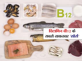 दुनिया के सबसे ताकतवर विटामिन बी12 फूड्स जानकर उड़ जाएंगे होश! एक बार खाने से ही हफ्ते भर का कोटा होता है पूरा दुनिया के सबसे ताकतवर विटामिन बी12 फूड्स जानकर उड़ जाएंगे होश! एक बार खाने से ही हफ्ते भर का कोटा होता है पूरा