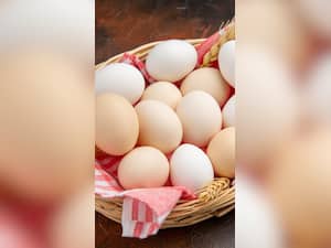Egg Side Effects: ज्यादा अंडे खाने से हो सकती हैं ये हेल्थ प्रॉब्लम्स और नुकसान