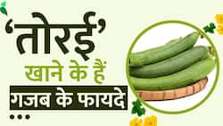 Weight Loss: मोटापा और Diabetes समेत इन बीमारियों से छुटकारा दिलाती है 'तोरई'