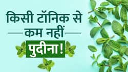 Benefits of Pudina: गर्मियों में पुदीने के इन फायदों को जानते हैं आप? Watch Video