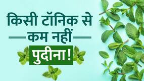 Benefits of Pudina: गर्मियों में पुदीने के इन फायदों को जानते हैं आप? Watch Video
