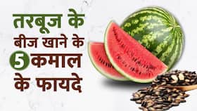 Watermelon Benefits: तरबूज के बीजों को खाने से आपको मिलेंगे कई फायदे, Watch Video Watermelon Benefits: तरबूज के बीजों को खाने से आपको मिलेंगे कई फायदे, Watch Video