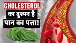 जानें कैसे Bad Cholesterol को तेजी से कम करता है पान का पत्ता?