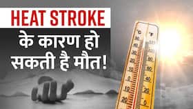 Heat Stroke साबित हो सकता है घातक! इन तरीकों से करें बचाव, Watch Video