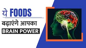 Brain Power बढ़ाने के लिए करें इन Foods का सेवन, Watch Video Brain Power बढ़ाने के लिए करें इन Foods का सेवन, Watch Video
