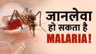 World Malaria Day 2023: Malaria से बचाव का ये है सही तरीका, जानें क्या कहना है  Experts का