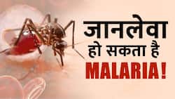 World Malaria Day 2023: Malaria से बचाव का ये है सही तरीका, जानें क्या कहना है  Experts का