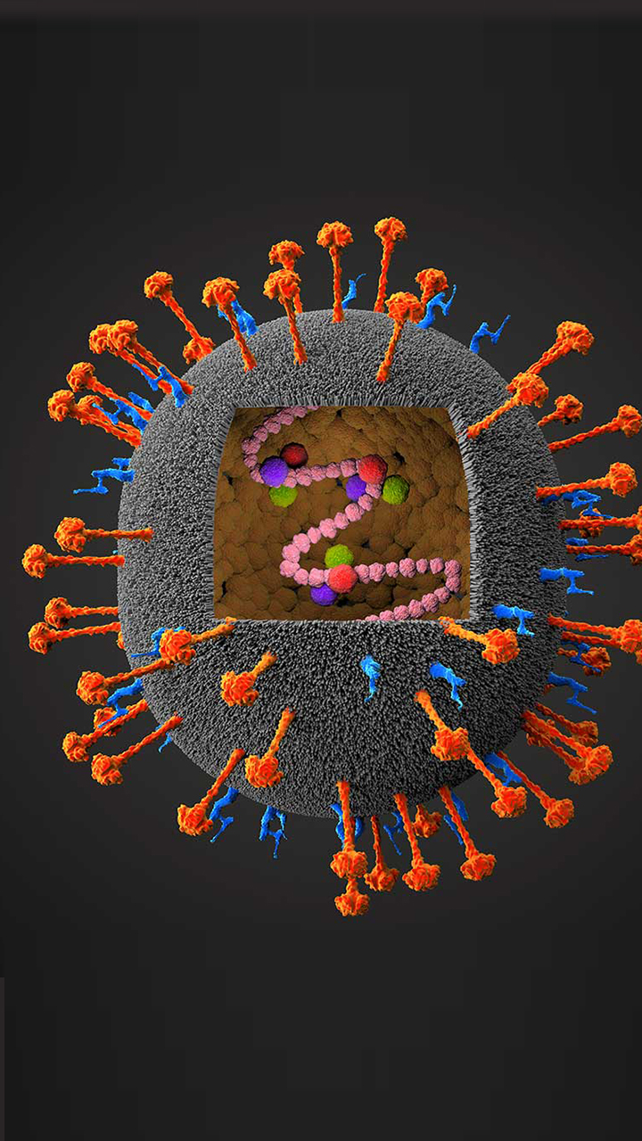 Top 5 Viral Infectious Diseases Spreading In India