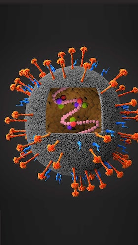 Top 5 Viral Infectious Diseases Spreading In India Top 5 Viral Infectious Diseases Spreading In India