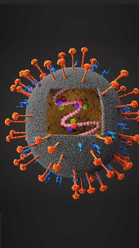 Top 5 Viral Infectious Diseases Spreading In India