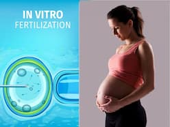 ART Regulations 2023: Why Restriction On Transfer Of Embryos Is Needed?