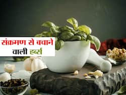 कमजोर इम्यूनिटी वालों के लिए संक्रमण से बचना है मुमकिन, ये 5 आयुर्वेदिक हर्ब्स आएंगी काम