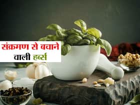 कमजोर इम्यूनिटी वालों के लिए संक्रमण से बचना है मुमकिन, ये 5 आयुर्वेदिक हर्ब्स आएंगी काम