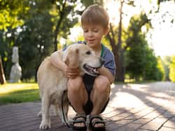 Having Pet Cats Or Dogs May Reduce Food Allergies In Children: But How?