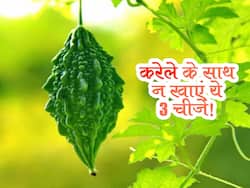 करेले के साथ गलती से भी न खाएं ये 3 चीजें, वरना शरीर के लिए बन सकता है जहर