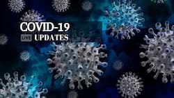 A Sign of Relief For India: Country Reports Massive 17% Drop In Daily COVID-19 Cases