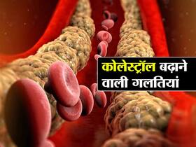 हाई कोलेस्ट्रॉल में किन चीजों को खाना चाहिए और किन फूड से परहेज करना चाहिए, जानिए