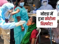 नोएडा में हुआ कोराना का विस्फोट, 24 घंटे में आए 66 नए मामले, जरूरत पड़ने पर करें इस नंबर पर कॉल
