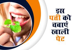 सुबह-सुबह खाली पेट इस पत्ती का शुरू कर दें सेवन, पूरा परिवार लंबे समय तक रहेगा स्वस्थ