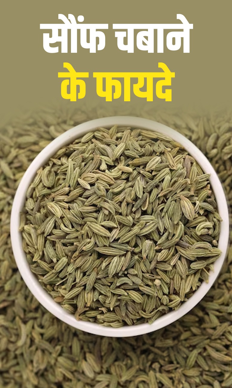 खाने के बाद सौंफ चबाने के ये फायदे जानकर हैरान रह जाएंगे आप