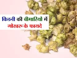 सामान्य संक्रमण से लेकर किडनी स्टोन तक में जबरदस्त फायदा करती है ये ये जड़ी-बूटी, जानिए कौन सी बीमारी में है ज्यादा कारगर