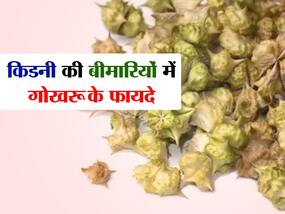 सामान्य संक्रमण से लेकर किडनी स्टोन तक में जबरदस्त फायदा करती है ये ये जड़ी-बूटी, जानिए कौन सी बीमारी में है ज्यादा कारगर