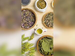 Herbs for Infection :  इन 6 हर्ब्स से इन्फेक्शन से रहें दूर