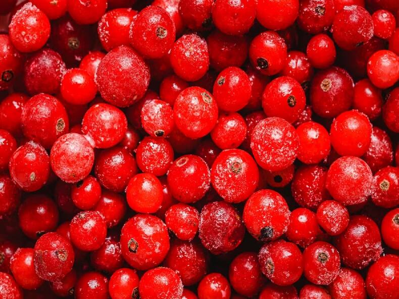 Women Should Consume More Cranberry Products: Here's Why