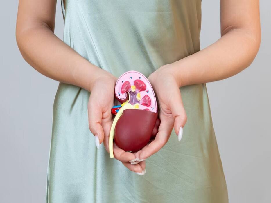 World Organ Donation Day 2024: Busting 4 Myths About Organ Donation