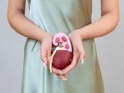 Can A Woman Become Pregnant After Kidney Transplant Or Donation? FAQS About Kidney Transplant Answered