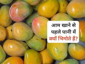 आम खाने से पहले पानी में भिगोना क्यों जरूरी होता है? जानिए 5 साइंटिफिक कारण आम खाने से पहले पानी में भिगोना क्यों जरूरी होता है? जानिए 5 साइंटिफिक कारण