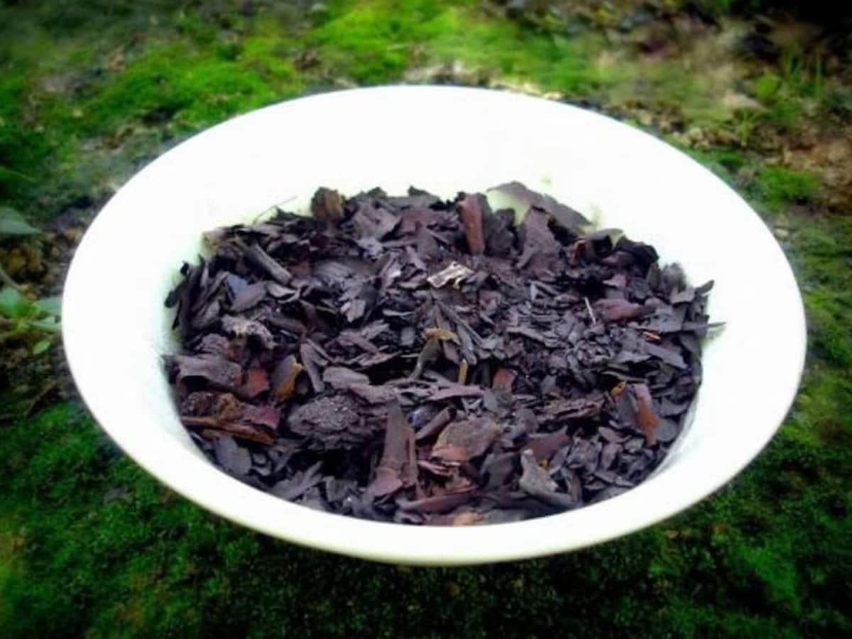Shudh Online Ratanjot Root Alkanet Root