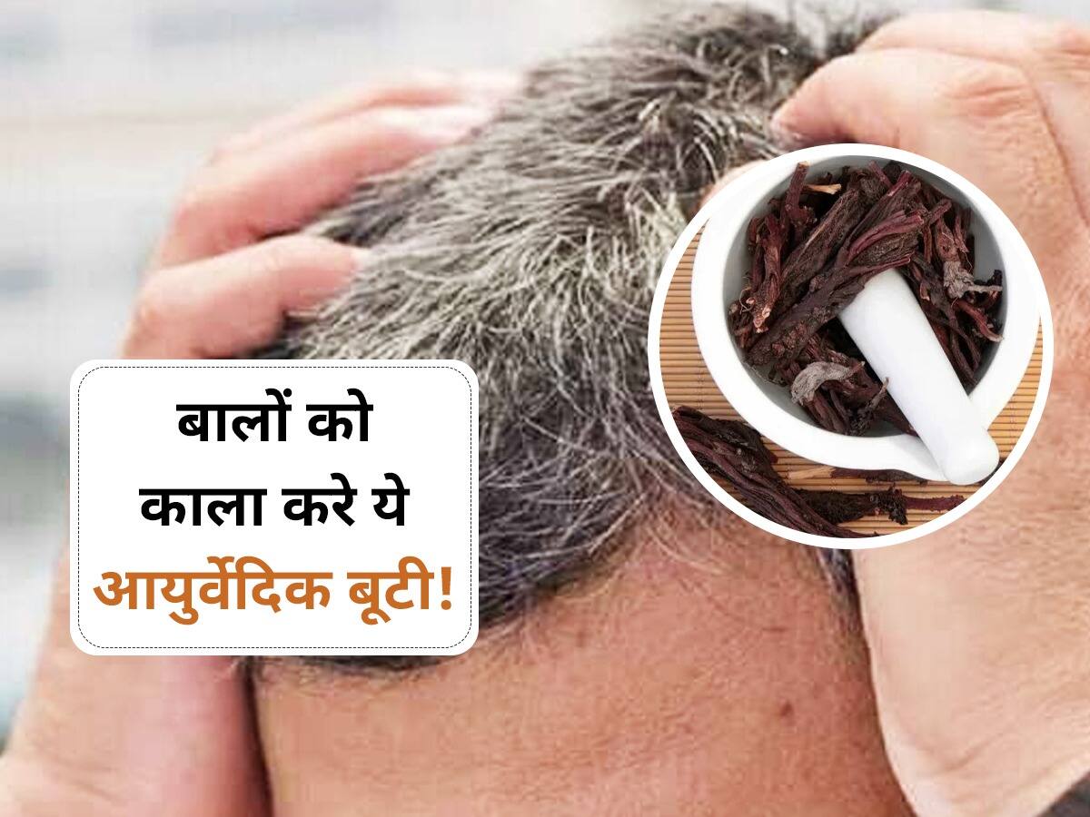 Ratanjot Masala hair oil  Vanaha Organics  herbal
