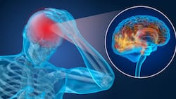 Parkinson   s Disease: Does It Get Triggered By Head Trauma?