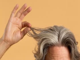 Why Hair Turns Gray As People Get Older? Stuck Stem Cells Linked To Loss Of Hair Colour Why Hair Turns Gray As People Get Older? Stuck Stem Cells Linked To Loss Of Hair Colour