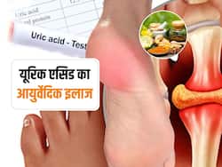 यूरिक एसिड की समस्या का जड़ से इलाज करे ये जड़ी-बूटी, जोड़ों और घुटनों की दर्द हमेशा के लिए हो जाएगी छूमंतर