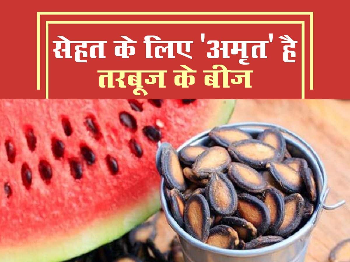 Watermelon Seeds Benefits तरबूज ही नहीं इसके बीच भी हैं सेहत के लिए