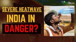 Heatwave Warning: 90% of India In    danger zone   - Know Precautionary Measures, Watch Video